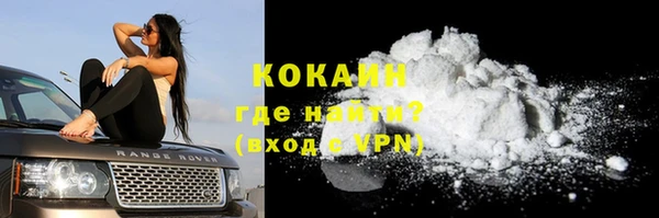индика Балабаново
