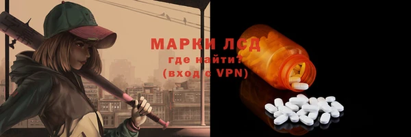 индика Балабаново