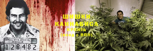 индика Балабаново