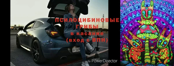 индика Балабаново