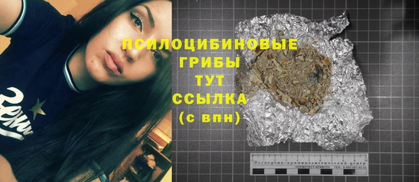 индика Балабаново