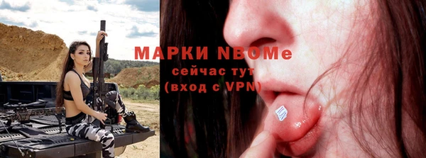 индика Балабаново