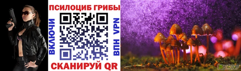 blacksprut ONION  Юрга  Галлюциногенные грибы Magic Shrooms 